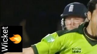What a wicket ????