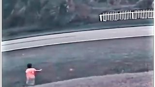 Dog saved