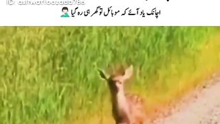 جب گھر سے نکلنے کے بعد راستے میں  اچانک یاد آجائے کہ  موبائل تو گھر ہی میں رہ گیا ہے