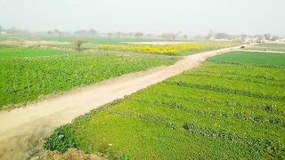 Beautiful Nature 2 |Village Life
