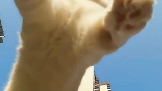 File name Funny Video Million Views -- Remember To Subscribe ❤️❤️ -- #Shorts #cat #tiktok #baby. Upload video