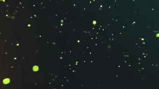 یااللہ پاک کر دو کرم