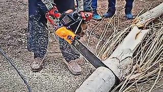 Wood cutting process by Machine | How it easy  | Viral Video 2023