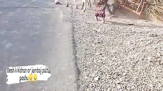 पसू ओ का दुख????????