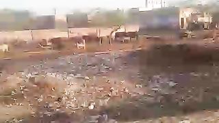 Good video