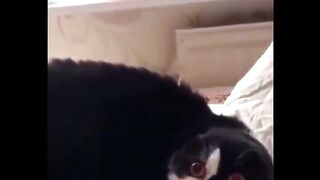 Funniest video ever seen