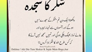 Islamic whats app status beautiful voice Very nice video