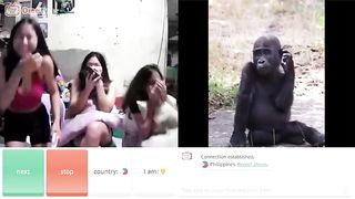Omagol monkey transitin prank ! Everyone is Laughing
