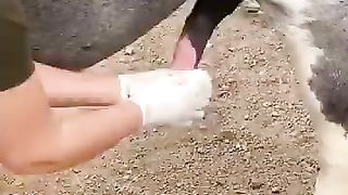 LUCKIEST DONKEY