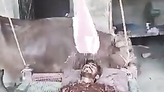 pakistani awam most funny video
