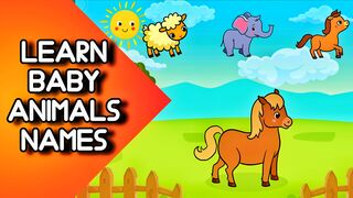 Chose for Right Baby Animals | learn Animals names | Kids learning Animation Videos for kids
