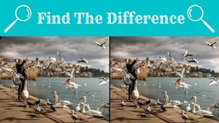 Find The Difference | Spot the 5 Differences Exercise#05 | Bet you can't find all the differences