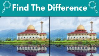 Find The Difference | Spot the 5 Differences Exercise#10 | Bet you can't find all the differences