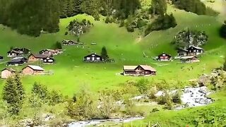 nature | peaceful place | follow