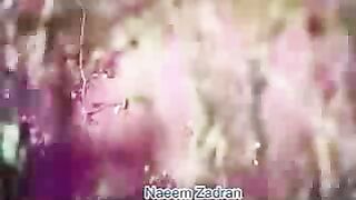 New pashto song