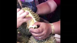 Amazing Skill Work 2023