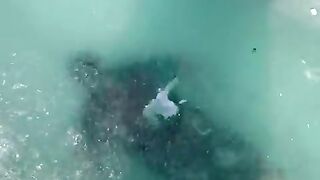Man_Swim_in_Extreme_Cold_Water||WooGlobe