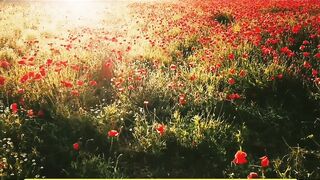 Islamic Status what's app  beautiful status beautiful voice