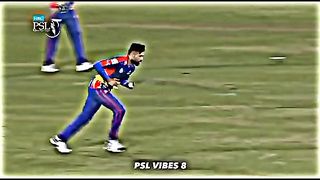 Cricket fans