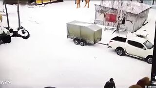 Think before you touch camel