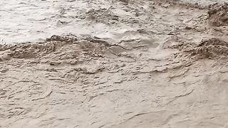 Mathavan nandi pani