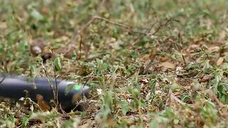 Lost Season 4 Episode 2