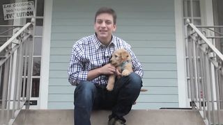 3 Easy Things to Teach your NEW PUPPY!