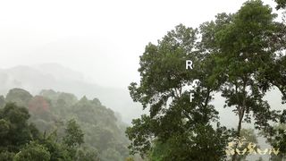 This Nature Rain Sounds Will This Nature Rain Sounds Will calm your mind & sleep with relaxing rain sounds