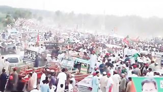 Pti lovers