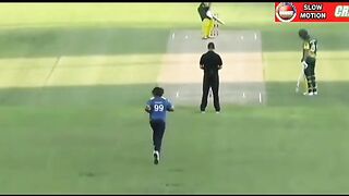 Cricket fans