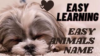 Animals sounds /with Hindi and English meaning