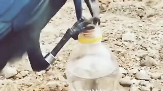 Pani ki kimt