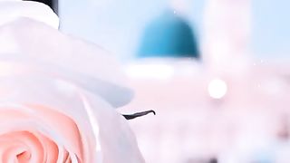 شب معراج النبی صلی اللہ علیہ وآلہ وسلم
