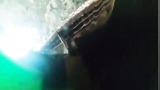 Funny Clip/Watter/Fish