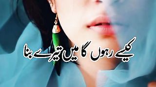 pOarty video