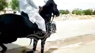Mufti_Tariq_Masood_sahab