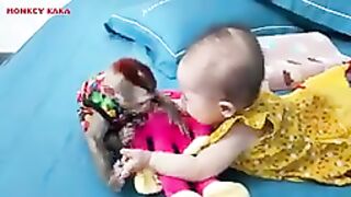 Smart monkey
