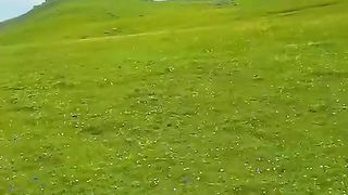 Beautiful place