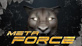 META FORCE IMPORTED UPDATE