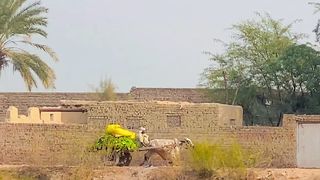 Village life
