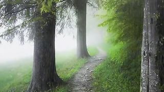Veriy_best_vedeo_shorts_