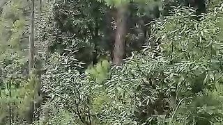 Beautiful place