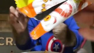 Cute monkey eating chips