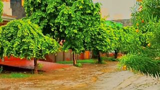 Rainy day