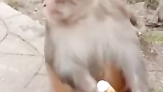 Finny manki video