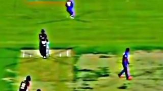 Cricket