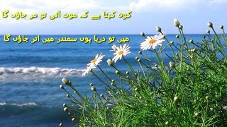 Nature video 2023