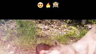 This girl lives with lion and wolf