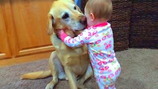 Cute Babies Playing With Dogs Compilation | Funny Baby And Pets
