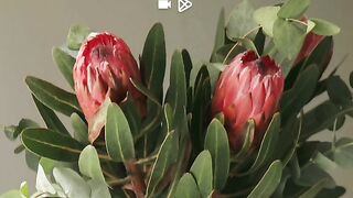 Best Wallpaper Android Phone